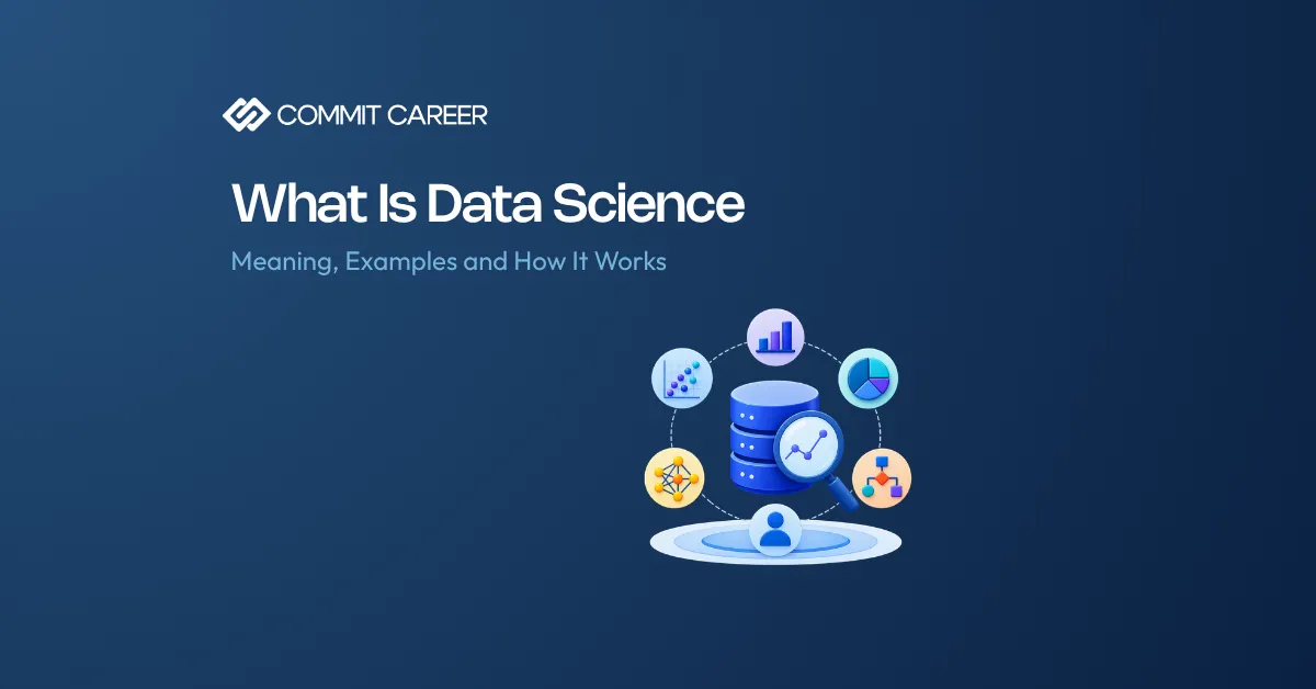 Infographics about the data science