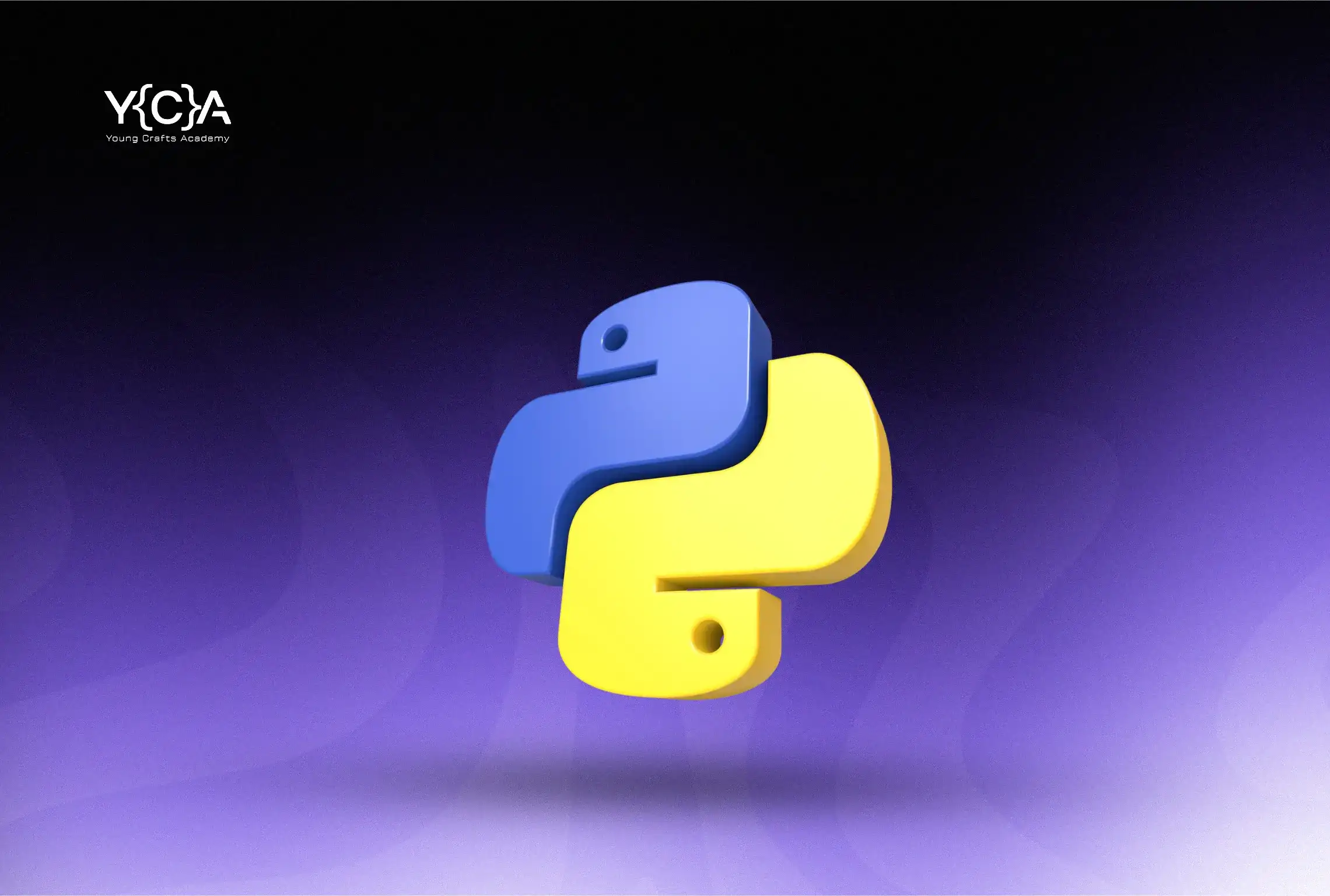 Python Programming 